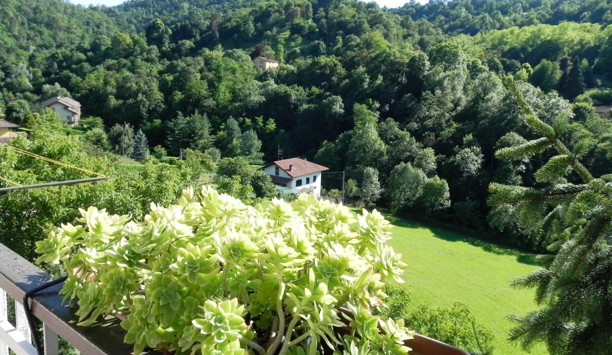 5 - panorama e giardino (8)